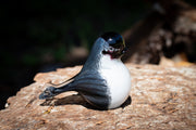 chickadee bird with cremation ashes